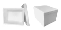 Comprar Hieleras De Unicel No 3