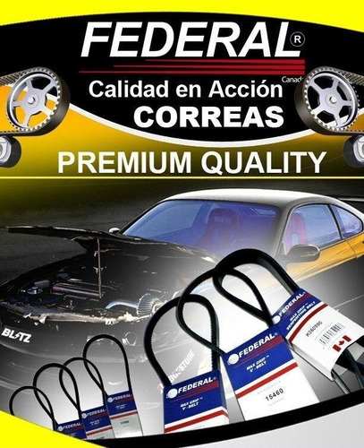 Correa 17395 Serie 17 Automotriz Industrial 39.5 Pulgadas 