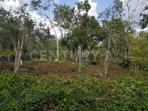 Excelente Terreno En Leona Vicario, Quintana Roo