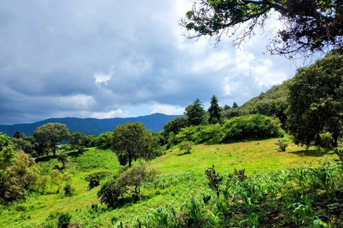 Terreno En Venta En Valle De Bravo Listo Para Desarrollo Con Abundante Agua Y Vistas Naturales.