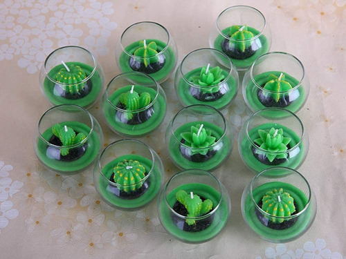 S 6 Molde De Silicona Suculenta Moldes Resina De Flor Cactus