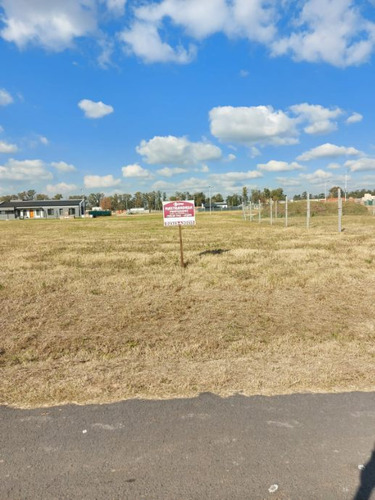 Lote En Venta En Los Alamos