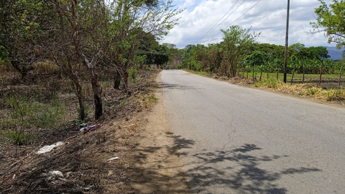 Imagen 7 de 14 de ¡venta! Lote De Terreno En Cúa
