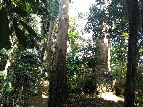 Sítio A Venda No Bairro Quarta Divisão Em Ribeirão Pires - 556-1