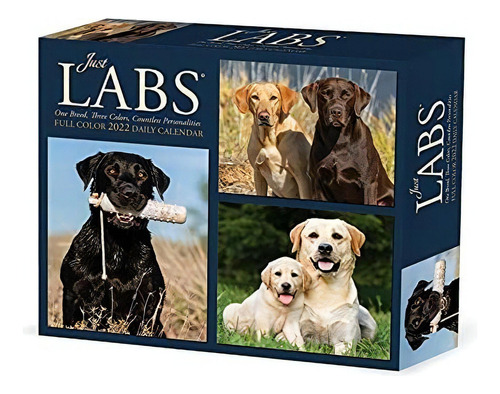 Labs 2022 Box Calendar - Dog, Labrador Retrievers Daily Des, De Willow Creek Press. Editorial Willow Creek Press Calendars, Tapa Dura En Inglés, 2021