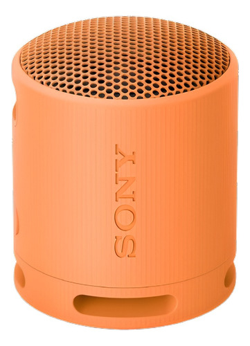 Corneta Altavoz Bluetooth Portátil Sony Srs-xb100