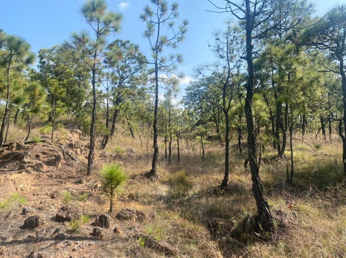 Terreno En Venta En Ex Hacienda San Lucas Del Pulque.