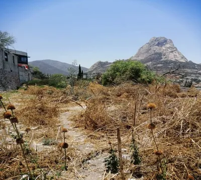 Terreno en venta