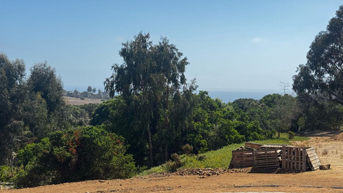 Interesaste Terreno Para Desarrollar Proyecto, Maitencillo
