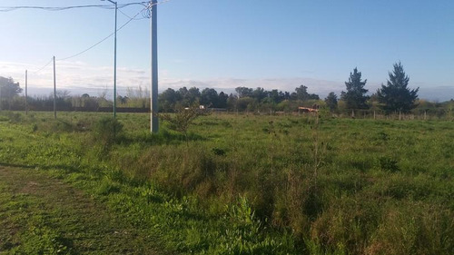 Terreno En Venta En 409/ 139 Y 141 Buona Terra Villa Elisa - Alberto Dacal Propiedades