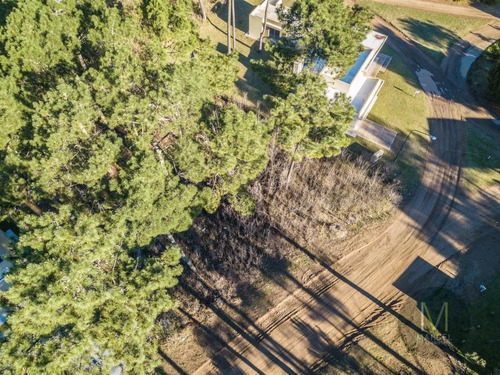 Imagen 4 de 12 de Lote En Venta - Zona Alamos - Pinamar