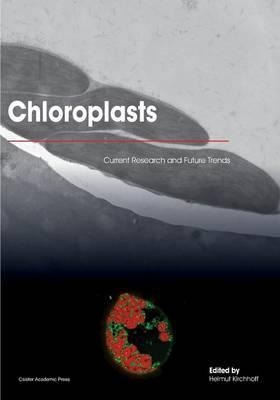 Chloroplasts - Helmut Kirchhoff