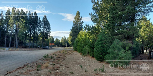 Terreno En Venta Ubicado En Dos Valles Club De Campo Bariloche