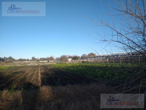 Imagen 6 de 8 de Campo - Los Hornos