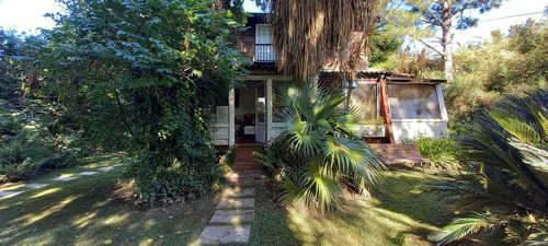Imagen 4 de 30 de Casa - Abra Vieja