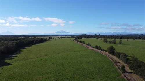 Imagen 4 de 30 de Agrícola En Venta En Puerto Varas