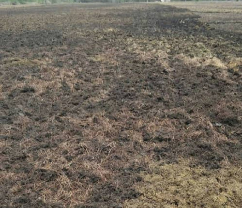 Imagen 3 de 7 de Terreno En Venta Higuerote-sotillo Riv # 11976