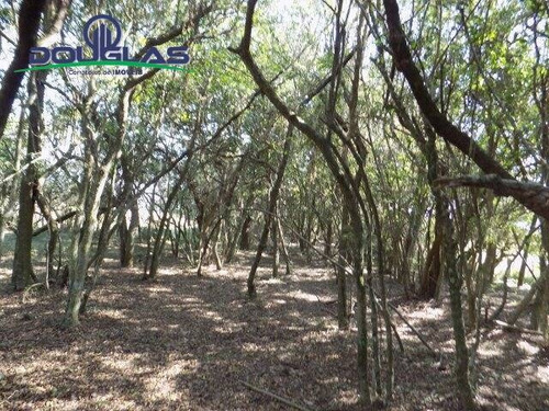 Imagem 6 de 15 de 2 Ha ,800 Mts Do Asfalto. - 845