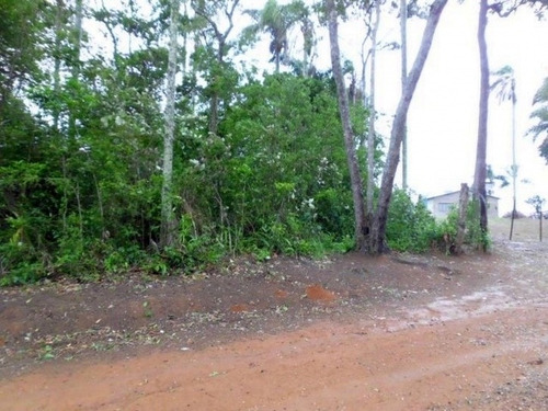 Imagem 13 de 13 de Terreno Ibiuna-cupim - 26
