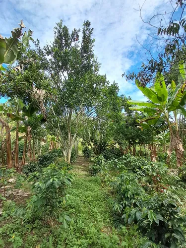 Finca En Restrepo Valle