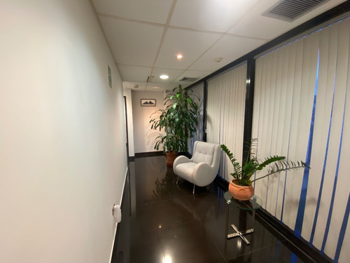 Imagen 6 de 21 de Oficina En Venta La Urbina