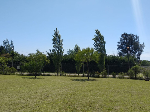 Imagen 7 de 9 de Alquiler Lote En Francisco Alvarez 1537 M2 A 20 Mts De Coletora Sur