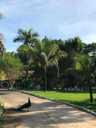 Imagem 1 de 29 de Chácara Em Americana/sp - Fundo Para A Represa - Ch0090