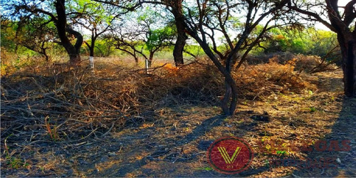 Imagen 4 de 6 de Terreno, 500 M2 Venta Loteo Bustos, Merlo San Luis