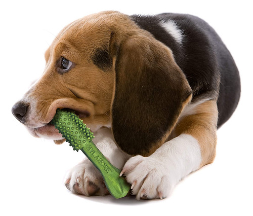 Dental Chew Treats Nylabone Nutri Dent Sabor A Aliento Fresc