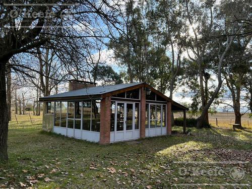 Imagen 8 de 26 de 100 Has En Punta Indio - Excelente Acceso - Ideal Haras!