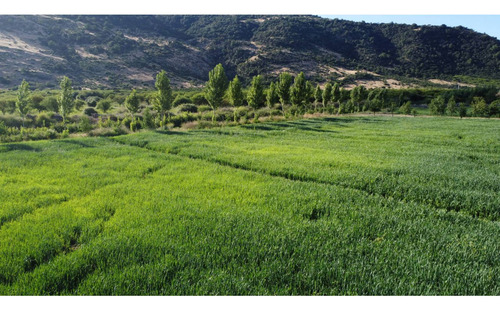 Parcelas Agroresidenciales Exclusivas En Curico Sector Rauco