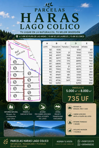 Loteo Haras Lago Colico Desde 735uf Los 5000m2