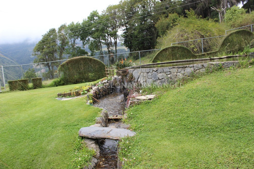 Se Vende Exclusiva Finca De 88 Hectáreas A Puerta Cerrada En Cacute Estado Mérida.