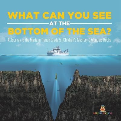 Libro What Can You See At The Bottom Of The Sea? A Journe...