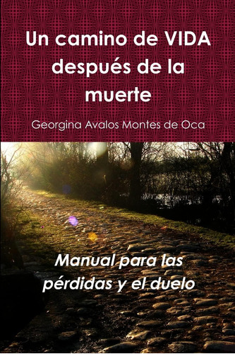 Libro Un Camino Vida Después Muerte