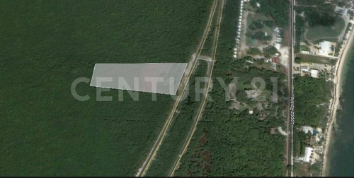 Imagen 2 de 4 de Maginifico Terreno Para Desarrolladores En Cancun! C2003