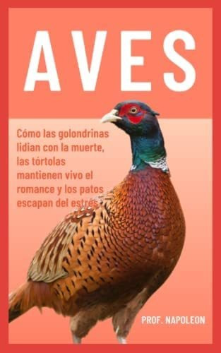 Libro: Filosofía Asombrosa De Las Aves: Cómo Las Golondrinas
