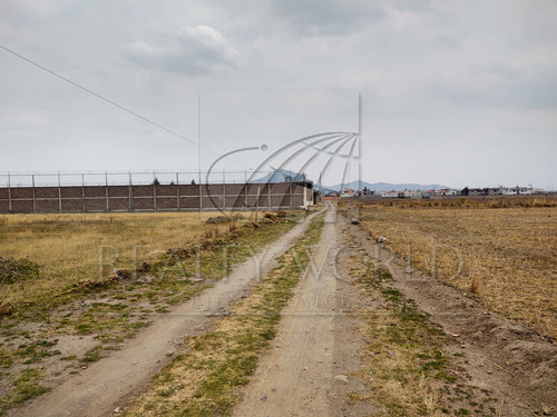 Terrenos En Venta En Cacalomacan