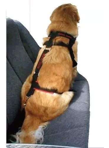 Cinturon De Seguridad Arnes Collar Para Perros Para Auto