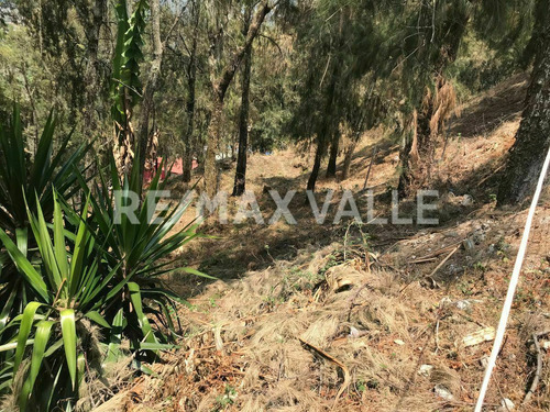 Imagen 6 de 8 de Terreno En Venta.