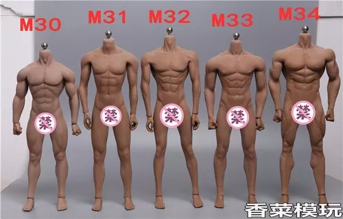 PHICEN TBleague M33 1/6 Male Seamless Muscular Body