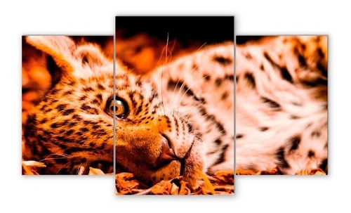 Cuadro Triptico Leopardos Varios Modelos 60x106 (4)