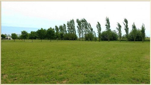 Imagen 3 de 13 de Terreno - Haras De Funes