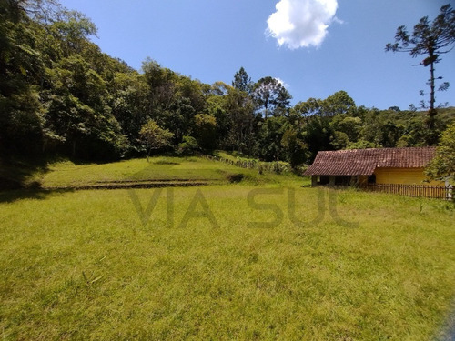 Imagem 30 de 30 de Belíssimo Sítio, Com Excelente Topografia E Rico Em Água - 52 - 70636338