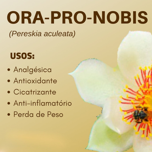 Ora Pro Nobis 500mg 60 Cápsulas Vitaminas B1 B2 B3 Sabor Sin sabor
