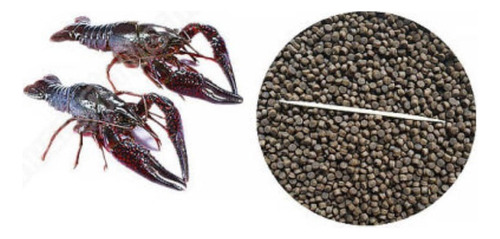 Máquina Extrusión Pellets Alimento Animales 160kg/hr Diesel