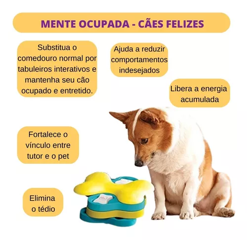 Brinquedos para enriquecimento ambiental canino!