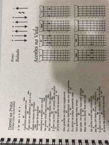 Caderno Sertanejo Letras, Cifras Viola E Violão Vol.2 - Casadei  Instrumentos Musicais