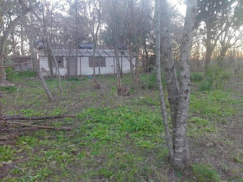 Retasado Chacra 22has Terreno Venta En Pavon Exaltación De La Cruz Pavon