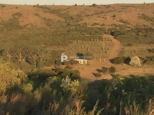 Venta 44 Hc Con Importante Salto De Agua En Sierra De Carapé